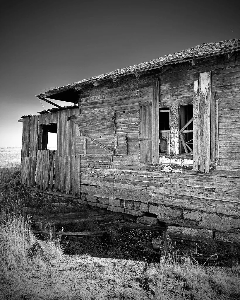 new mexico black white